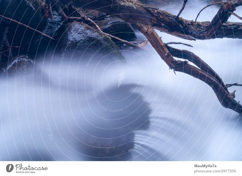 Blurred motion of water Beautiful Life Environment Nature Landscape Tree Leaf Park Forest Rock Brook River Waterfall Stone Movement Fresh Long Wet Natural Blue