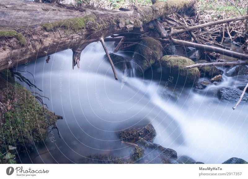 Blurred motion of water Beautiful Life Environment Nature Landscape Tree Leaf Park Forest Rock Brook River Waterfall Stone Movement Fresh Long Wet Natural Blue