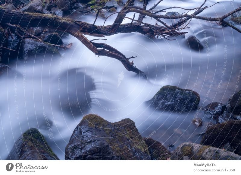 Blurred motion of water Beautiful Life Environment Nature Landscape Tree Leaf Park Forest Rock Brook River Waterfall Stone Movement Fresh Long Wet Natural Blue