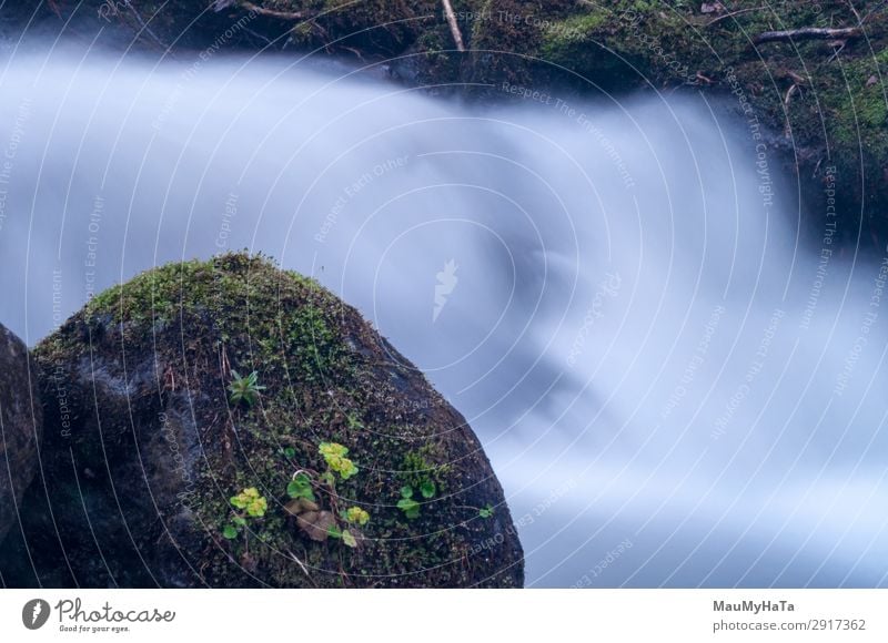 Blurred motion of water Beautiful Life Environment Nature Landscape Tree Leaf Park Forest Rock Brook River Waterfall Stone Movement Fresh Long Wet Natural Blue