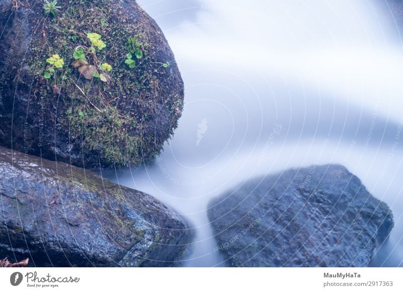 Blurred motion of water Beautiful Life Environment Nature Landscape Tree Leaf Park Forest Rock Brook River Waterfall Stone Movement Fresh Long Wet Natural Blue