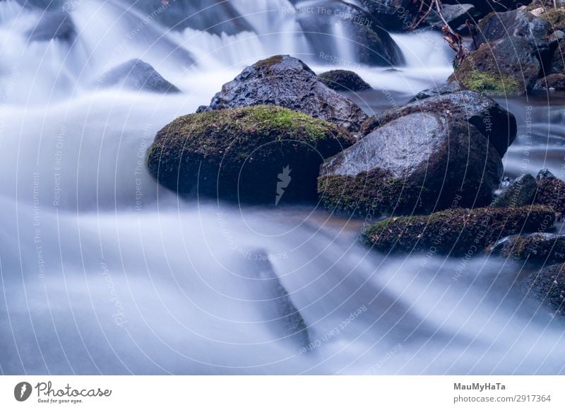 Blurred motion of water Beautiful Life Environment Nature Landscape Tree Leaf Park Forest Rock Brook River Waterfall Stone Movement Fresh Long Wet Natural Blue