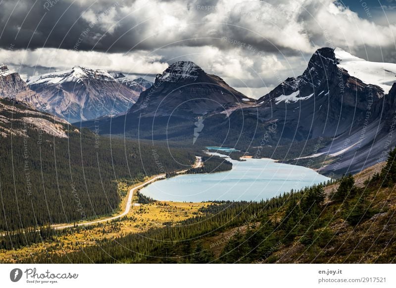 Mountain and valley Vacation & Travel Trip Adventure Far-off places Freedom Summer vacation Nature Landscape Clouds Autumn Rocky Mountains Lake bow lake Street