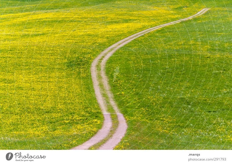 overland Trip Freedom Summer Summer vacation Career Nature Landscape Plant Spring Beautiful weather Grass Dandelion field Meadow Transport