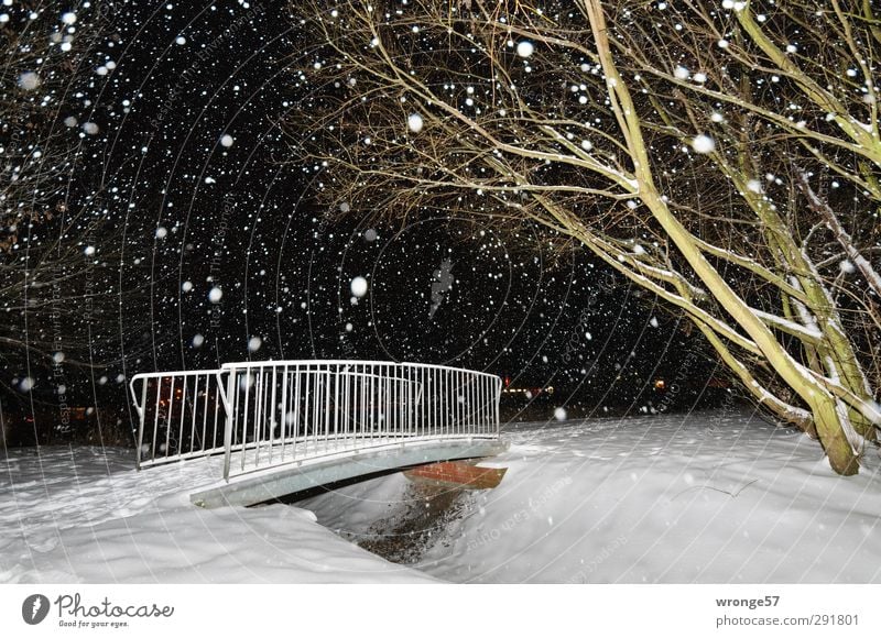 Small white bridge Winter Snow Snowfall Tree Pond Magdeburg Germany Saxony-Anhalt Europe Town Outskirts Bridge Cold Green Black White Bridge railing Water ditch