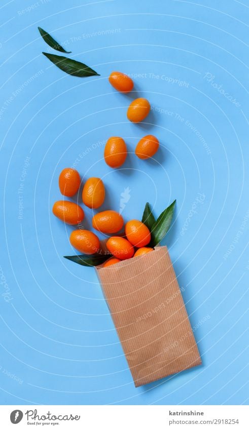 Kumquat fruits on a blue background Fruit Nutrition Vegetarian diet Diet Exotic Summer Group Fresh Modern Natural Juicy Blue Yellow Colour citrus kumquat orange