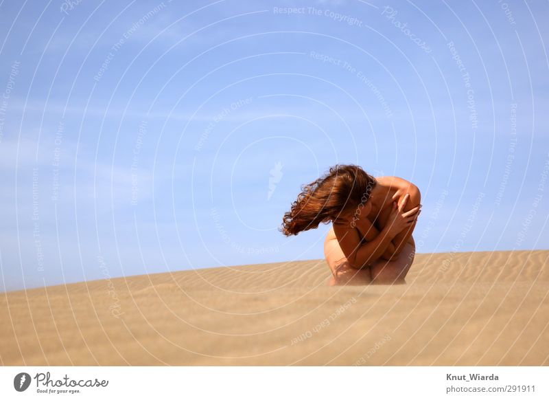 Wind, sun, sky and hair Beautiful Hair and hairstyles Vacation & Travel Summer Summer vacation Sun Beach Human being Feminine Young woman Youth (Young adults)