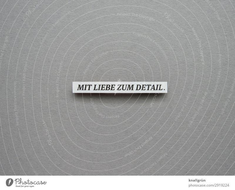 With love for detail. Intensive thoroughly Accuracy meticulously passionate detailed Letters (alphabet) Word leap Text Typography Characters Language