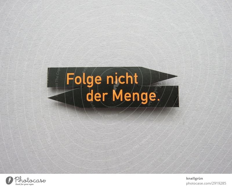 Don't follow the crowd. direction arrow Characters Signs and labeling Communicate Gray Orange Black Emotions Moody Self-confident Willpower Brave Responsibility