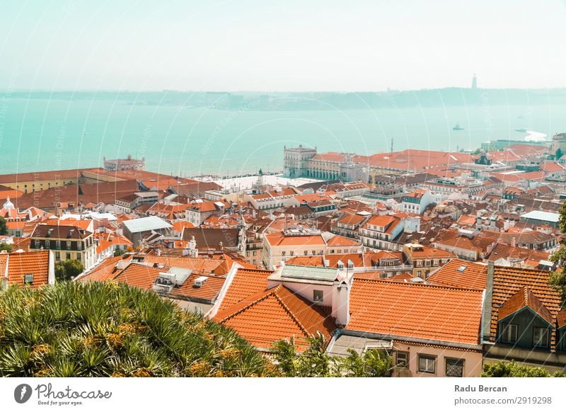 Aerial View Of Lisbon City Rooftops In Portugal Aircraft Vantage point Europe Vientiane Panorama (Format) Skyline Old Tourism Architecture Street Historic