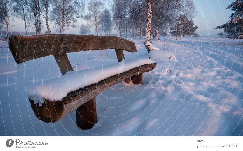 snow bench Vacation & Travel Tourism Trip Winter Snow Hiking Landscape Sunrise Sunset Ice Frost Tree Heathland Sit Cold Blue White Romance Movement Relaxation