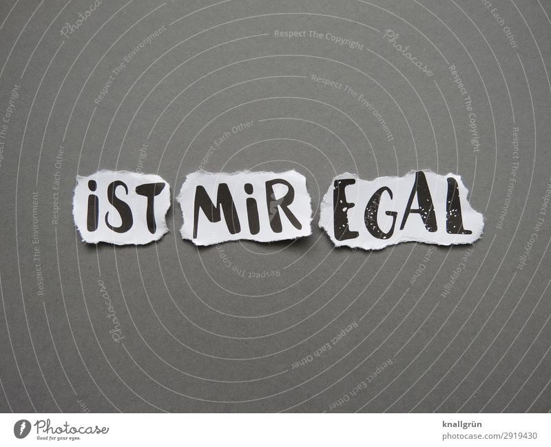 IST MIR EGAL Characters Communicate Cool (slang) Gray Black White Emotions Moody Serene Boredom Reluctance Indifferent Ignorant Indifference Colour photo