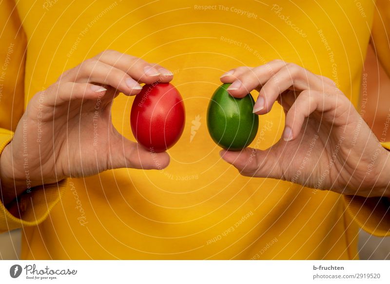 Two Easter eggs in your hands Food Nutrition Organic produce Healthy Eating Kitchen Man Adults Hand Fingers Select Utilize Touch To hold on Yellow Green Red Egg