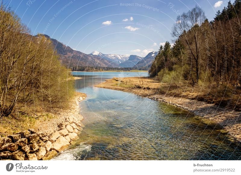 Gebirgssee Austria Harmonious Relaxation Calm Vacation & Travel Tourism Sky Sunlight Spring Beautiful weather Forest Hill Alps Mountain Snowcapped peak Lakeside