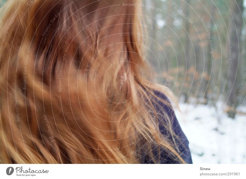 Blurred by the wind Winter Snow Human being Feminine Woman Adults Hair and hairstyles 1 Ice Frost Tree Park Forest Red-haired Long-haired Movement Going Walking