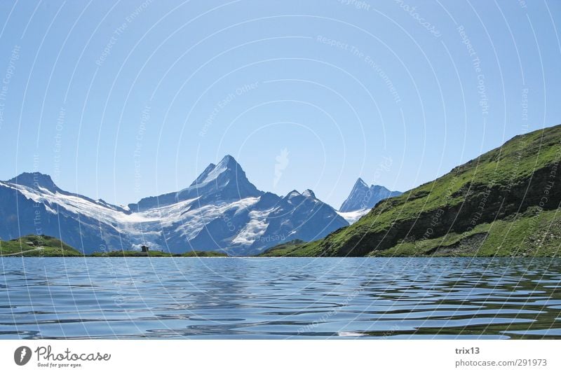 bugle Trip Summer Mountain Nature Landscape Water Sky Cloudless sky Alps Blue Green Schreckhorn Bach alps lake Grindelwald Colour photo Exterior shot