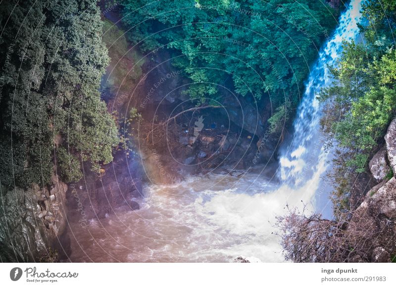 rainbow Environment Nature Landscape Plant Beautiful weather Tree Rock Mountain Canyon Brook Waterfall Israel Near and Middle East Emotions Moody Contentment