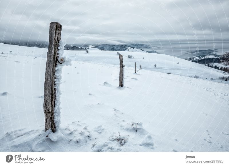 boundary post Nature Landscape Clouds Horizon Winter Weather Wind Ice Frost Snow Mountain Cold Blue Black White Idyll Schauinsland Colour photo Subdued colour