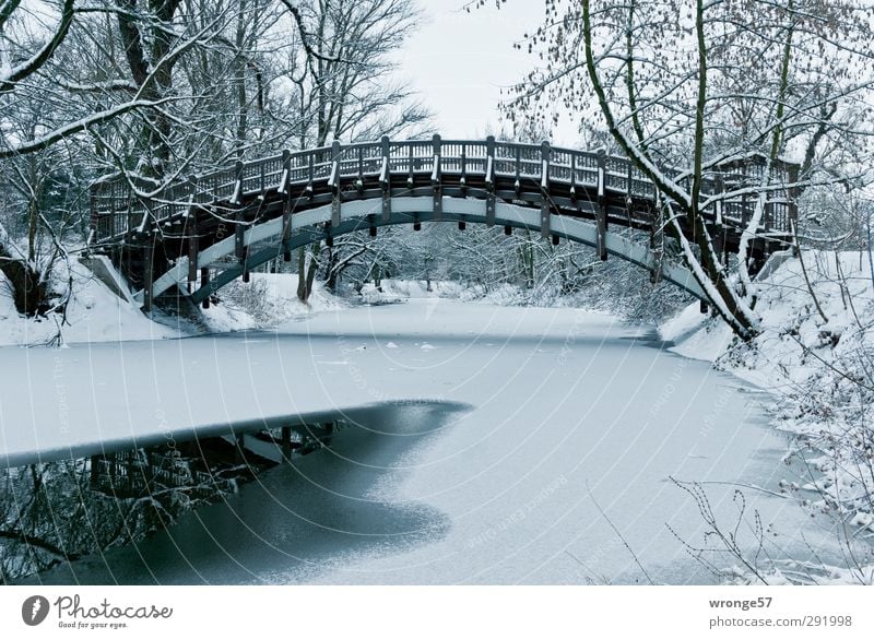 Winter in Stadtpark II Trip Snow Ice Frost Tree Park Lakeside Adolf Midday Lake Magdeburg Germany Saxony-Anhalt Europe Deserted Bridge Cold Arched bridge