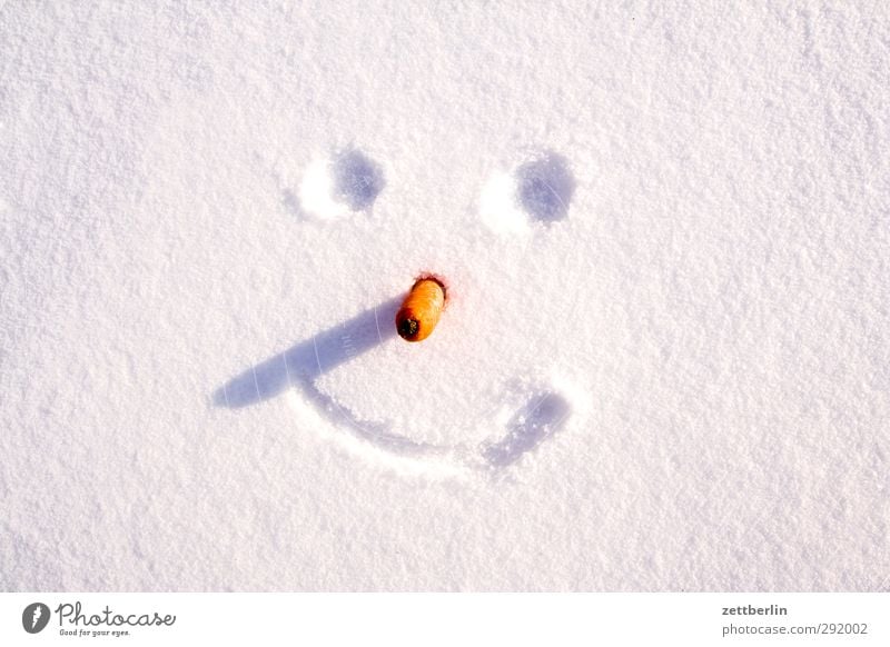 winter Winter Environment Nature Climate Climate change Weather Beautiful weather Ice Frost Snow Smiling Laughter Cold Joy Happiness Joie de vivre (Vitality)