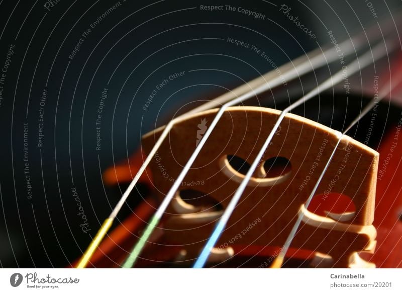 Violin V Footbridge Wood Things saties Musical instrument.