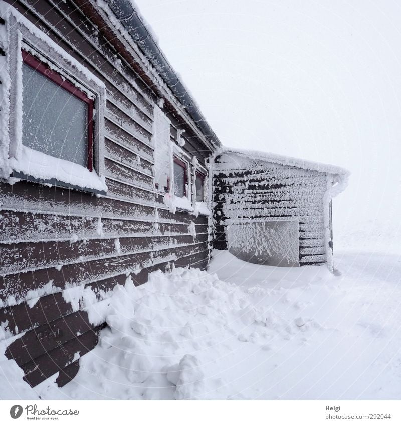 felt -20 degrees... Trip Winter Snow Mountain Harz Brocken House (Residential Structure) Nature Landscape Fog Ice Frost Hut Manmade structures Building