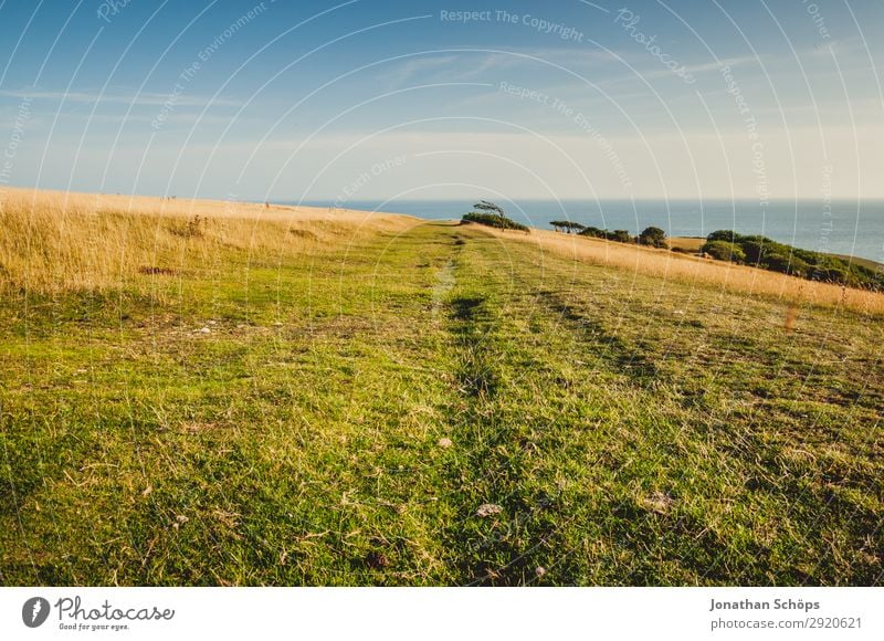 wide field at the Seven Sisters, England Vacation & Travel Tourism Summer Ocean Hiking Environment Nature Landscape Sky Beautiful weather Meadow Field Rock