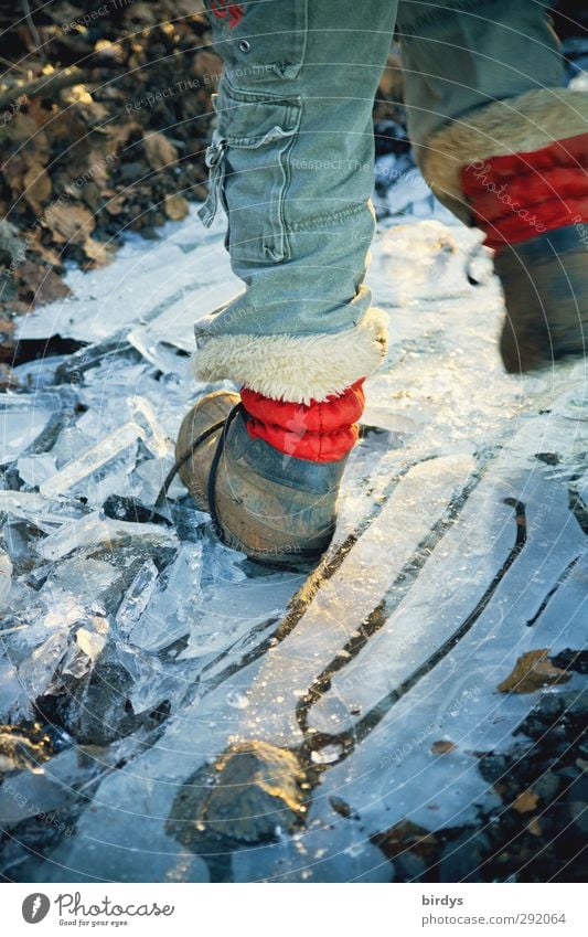 Child steps into a frozen puddle Boy (child) 1 Human being 3 - 8 years Infancy Water Winter Ice Frost Jeans Pelt Boots Leather shoes Jump Authentic Rebellious