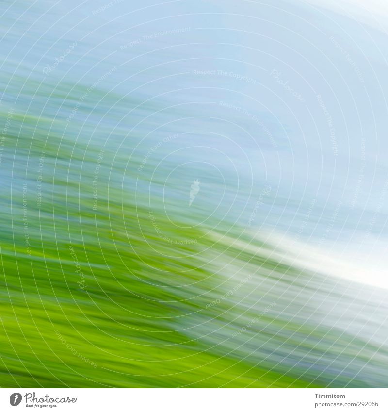 Life is movement Sky Clouds Summer Tree Observe Movement Simple Fresh Positive Blue Green White Emotions Blur Colour photo Exterior shot Deserted Day