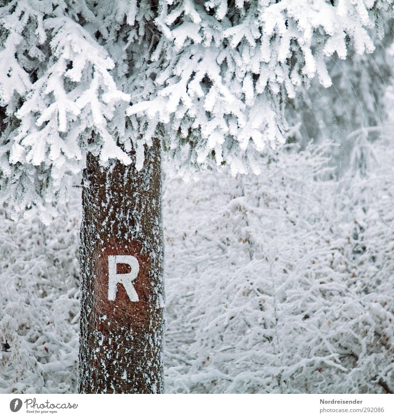 Last Sunday.... Calm Tourism Winter Winter vacation Nature Animal Climate Weather Ice Frost Snow Tree Bushes Forest Wood Sign Characters Signs and labeling