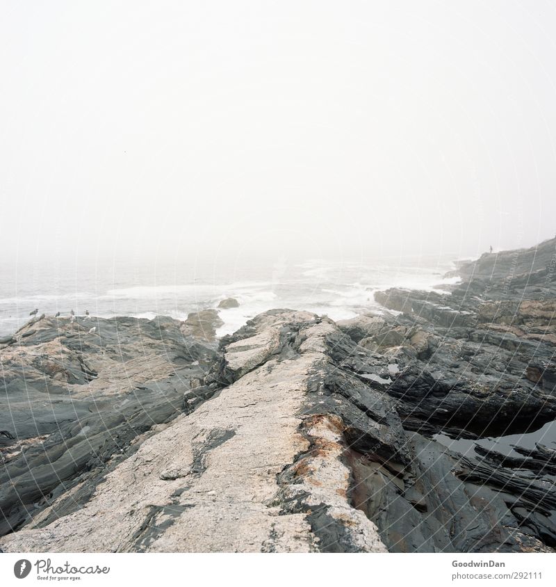 Salt in the lungs. Environment Nature Elements Earth Water Rock Waves Coast Reef Ocean Exceptional Threat Authentic Cold Gloomy Moody Colour photo Exterior shot