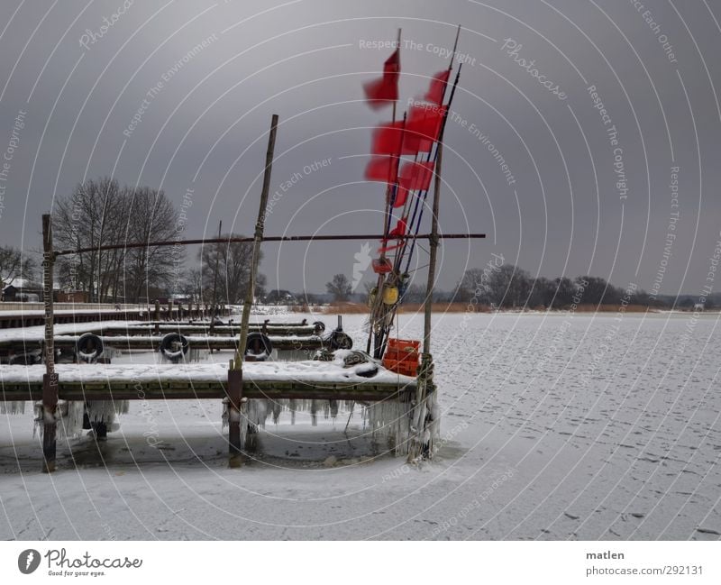 avanti Landscape Sky Clouds Storm clouds Horizon Winter Bad weather Ice Frost Snow Tree Baltic Sea Deserted Navigation Harbour Rope Gray Pink Blow Loneliness