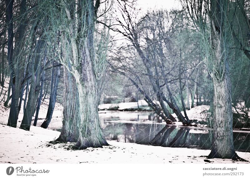 beware of the monsters Landscape Winter Snow Tree Park River bank Aggression Exceptional Dark Fantastic Creepy Cold Black White Dream Sadness Loneliness Fear