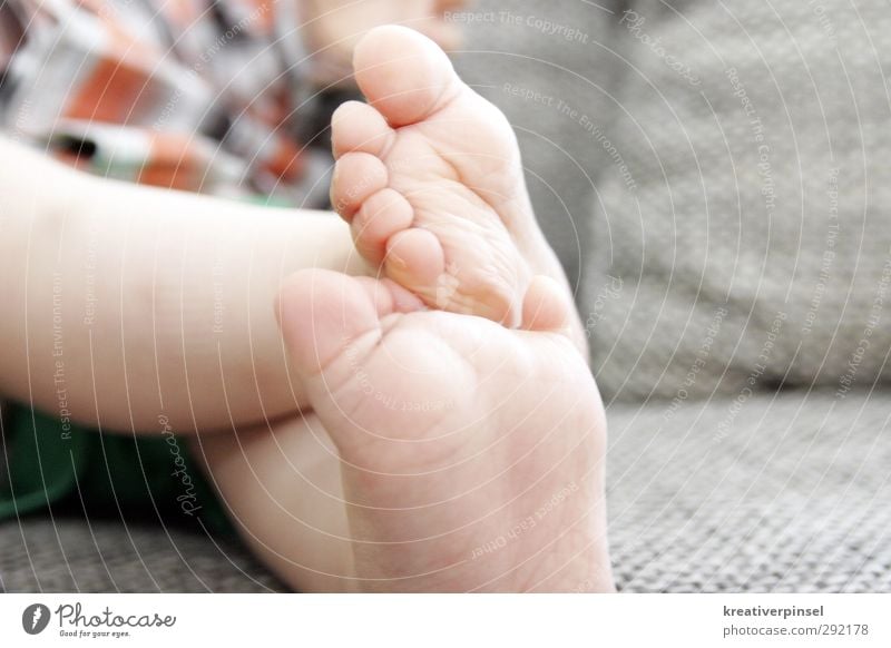 little feet. Baby Toddler Boy (child) Legs Feet 0 - 12 months Sit Naked Cute Gray Green Orange Sofa Playing Colour photo Interior shot Flash photo Blur