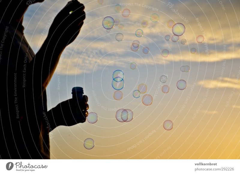 toward heaven Masculine Young man Youth (Young adults) 1 Human being 18 - 30 years Adults Nature Landscape Air Sky Clouds Sun Sunrise Sunset Sunlight