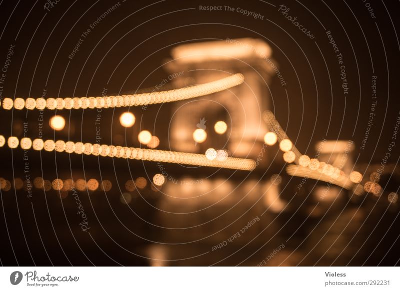 eyewash Port City Old town Bridge Manmade structures Tourist Attraction Landmark Monument Gold Romance Suspension bridge Budapest Blur Shallow depth of field