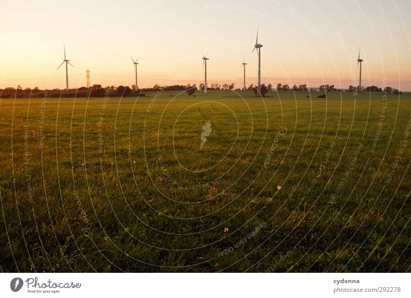 Wind power in the evening light Technology Science & Research Advancement Future Energy industry Renewable energy Wind energy plant Energy crisis Environment