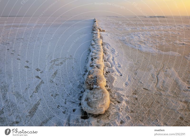 spine Landscape Sky Cloudless sky Horizon Sun Sunrise Sunset Winter Climate Beautiful weather Coast Beach Bay Baltic Sea Orange White ossified Ice Wooden stake