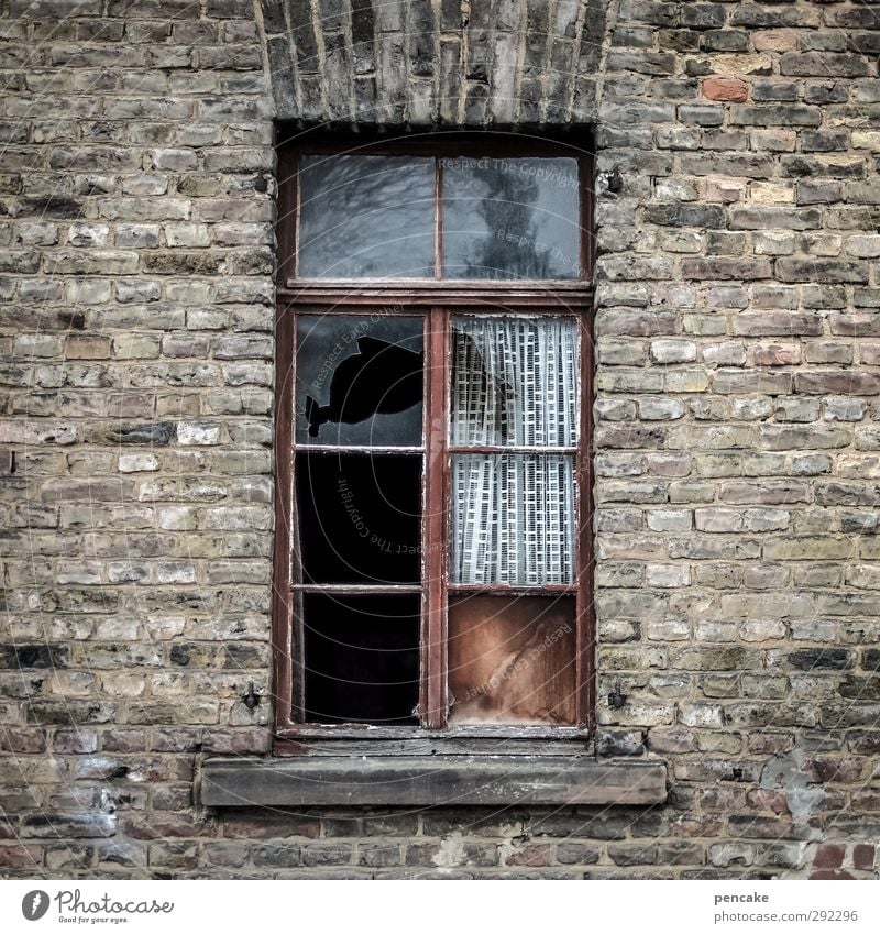 Old houses, draught. Small Town Deserted House (Residential Structure) Wall (barrier) Wall (building) Window Emotions Moody Decline Transience Change Luxury