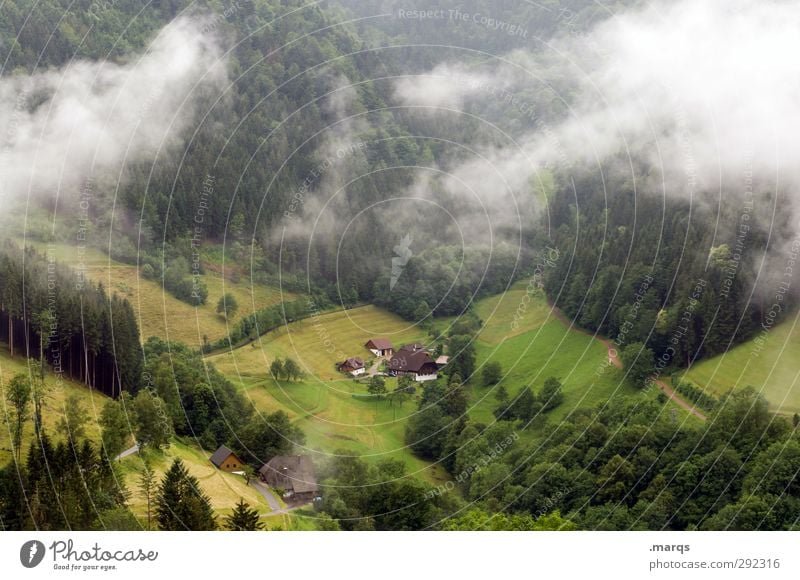 Old houses | Farmhouse Tourism Agriculture Forestry Environment Nature Landscape Autumn Climate Climate change Fog Meadow Hill Mountain Beautiful Moody