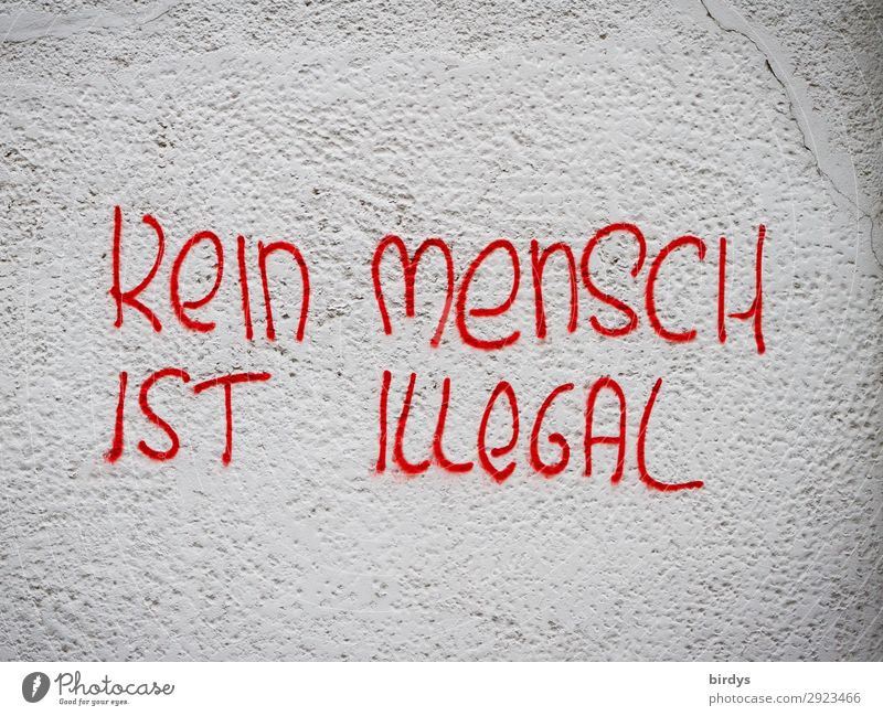 To all, for all Wall (barrier) Wall (building) Characters Graffiti Write Authentic Uniqueness Positive Gray Red Emotions Acceptance Protection Agreed Compassion