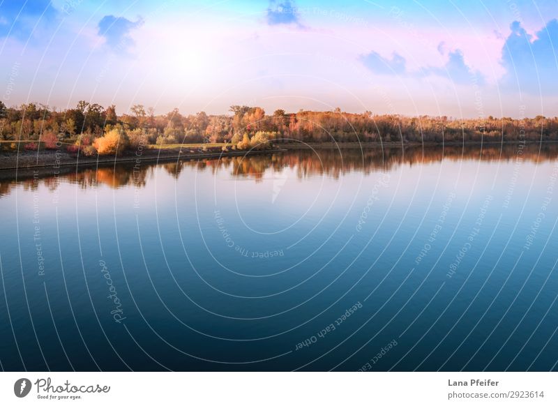 Tranquil, calm Rhine river scene with arched bridge Vacation & Travel Landscape Plant River Moody rhine Iffezheim Roppenheim sunny tranquil tranquility abstract