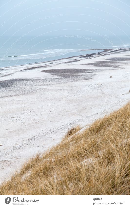 coastal strip Vacation & Travel Beach Ocean Waves Coast North Sea Dune Marram grass Sandy beach Infinity Above Beautiful Blue Yellow Gray White Happy