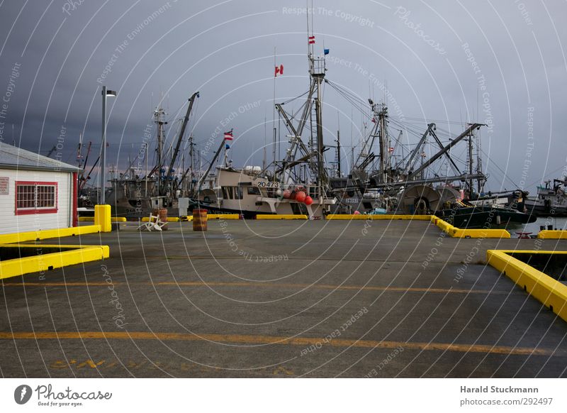 Fishing boats in the port of Steveston, British Columbia Ocean Clouds Harbour Navigation Watercraft Yellow Drop anchor Jetty Inner harbour Fisherman Fishery