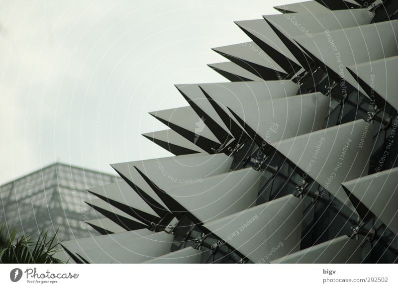 esplanade Singapore Architecture Facade Modern Thorny Colour photo Subdued colour Exterior shot Close-up Structures and shapes Deserted Copy Space left