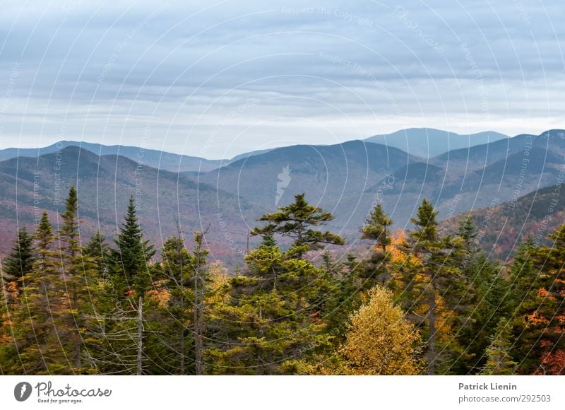 White Mountains Environment Nature Landscape Plant Elements Autumn Climate Foliage plant Vacation & Travel Contentment Colour photo Multicoloured Exterior shot