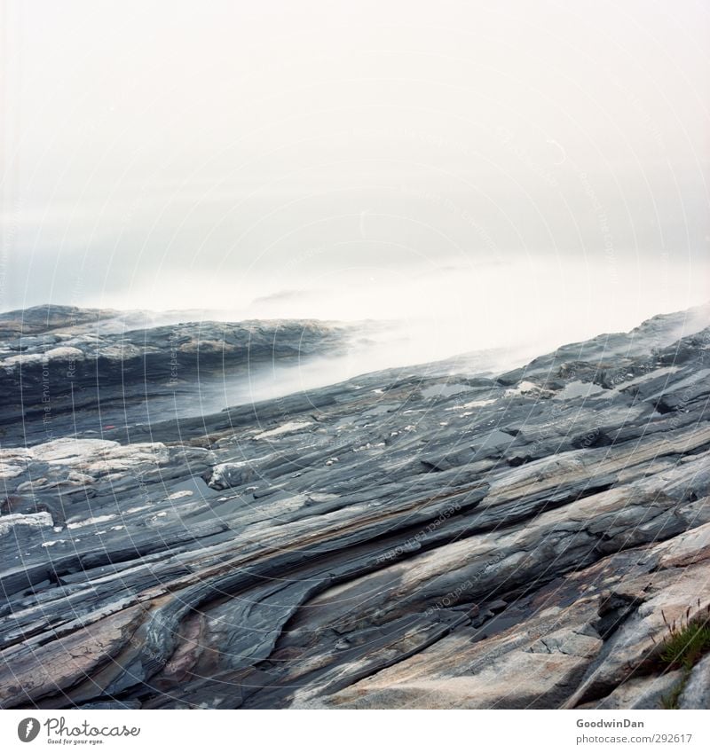 Drawn by water. Environment Nature Elements Earth Water Summer Climate Weather Fog Rain Waves Coast Fjord Ocean Old Threat Authentic Fluid Cold Gloomy Moody