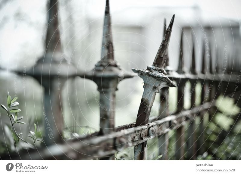 break a jag out of a fence Fence Gap in the fence Bend Rivet Stud Point Colour photo Subdued colour Exterior shot Deserted