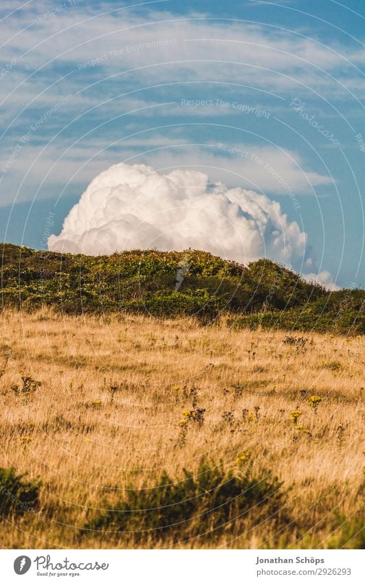 Field with cloud in Sussex, South England, Great Britain Environment Nature Landscape Sky Clouds Summer Beautiful weather Plant Blue Brown Yellow Cloud pattern