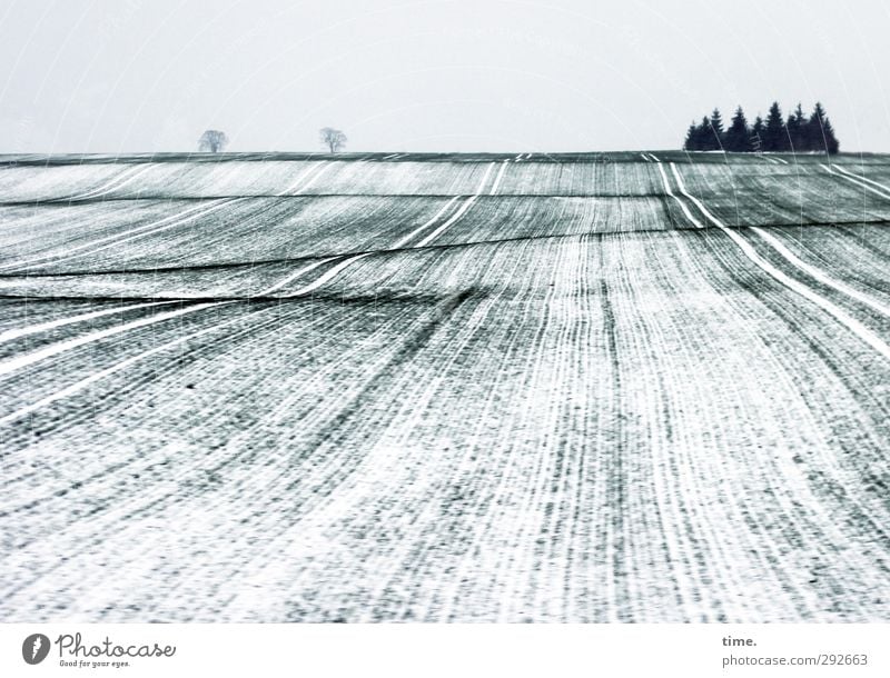 hibernation Environment Nature Landscape Sky Winter Ice Frost Snow Tree Field Hill Contentment Secrecy Calm Wisdom Exhaustion Loneliness Serene Horizon